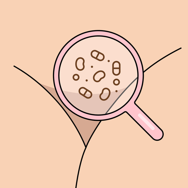 illustration of pubic area with magnifying glass